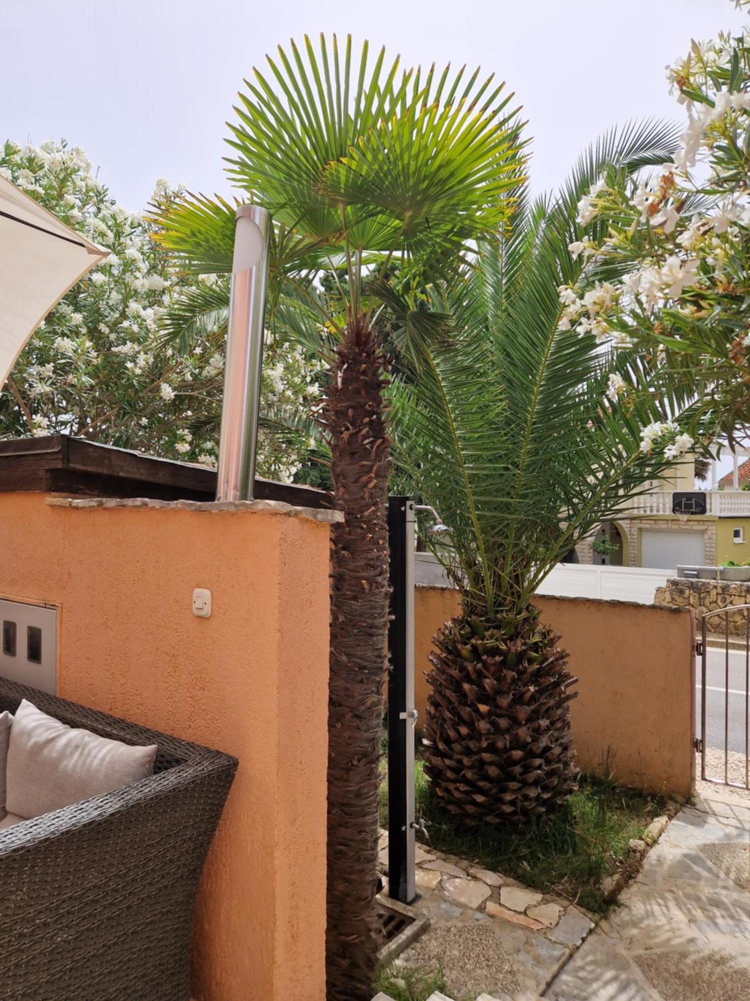 Aurelia Apartments, Vir Δωμάτιο φωτογραφία